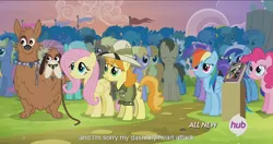 Size: 1440x763 | Tagged: safe, derpibooru import, edit, edited screencap, screencap, amethyst star, candy mane, carrot top, cloud kicker, coco crusoe, doctor whooves, fluttershy, golden harvest, lyra heartstrings, minuette, orthros, pinkie pie, pokey pierce, ponet, rainbow dash, rainbowshine, teddie safari, time turner, dog, pony, trade ya, full set, hub logo, meme, multiple heads, two heads, youtube caption