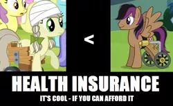 Size: 861x527 | Tagged: safe, derpibooru import, edit, edited screencap, screencap, jinx, stellar eclipse, earth pony, pegasus, pony, trade ya, exploitable meme, female, injured, insurance, male, mare, meme, meta, stallion, wheelchair