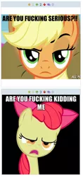 Size: 262x555 | Tagged: apple bloom, applejack, are you fucking kidding me, derpibooru, derpibooru import, exploitable meme, juxtaposition, juxtaposition win, meme, meta, safe, unconvinced applejack, vulgar