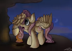Size: 900x636 | Tagged: dead source, safe, artist:mistydash, derpibooru import, fluttershy, cave, covering, cute, dark, dialogue, lantern, night, one word, scared, solo