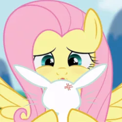 Size: 894x894 | Tagged: angel bunny, angelshy, artist:juniberries, derpibooru import, female, fluttershy, imminent kissing, kissing, male, safe, shipping, show accurate, straight