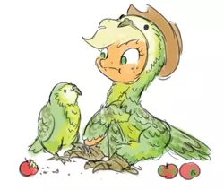 Size: 1000x847 | Tagged: safe, artist:king-kakapo, derpibooru import, applejack, bird, parrot, pony, :t, animal, apple, bird costume, clothes, costume, duo, female, fluffy, frown, kakapo, mare, raised hoof, simple background, sitting, sketch, solo, white background