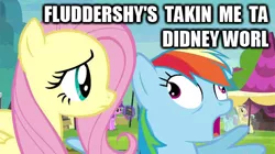 Size: 600x336 | Tagged: amethyst star, caption, derp, derpibooru import, didney worl, fluttershy, image macro, meme, rainbow dash, safe, screencap, trade ya