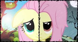 Size: 1500x804 | Tagged: safe, artist:flare-chaser, derpibooru import, fluttershy, pegasus, pony, angry, dark, day, evil, female, flutterbat, good, happy, mare, night, rain, sad, solo, two sided posters