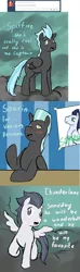 Size: 969x3252 | Tagged: safe, artist:pony-lightbox, derpibooru import, rumble, soarin', thunderclap, thunderlane, pegasus, pony, ask the thunderbros, ask, blushing, brothers, cloud, cloudy, colt, cute, implied gay, male, poster, shipping, siblings, stallion, tumblr