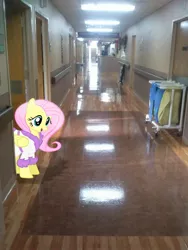 Size: 1944x2592 | Tagged: artist:beauchaine, artist:tokkazutara1164, basket, clothes, derpibooru import, doorway, fluttershy, hallway, hospital, irl, photo, ponies in real life, robe, safe, shadow, solo, vector