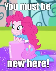 Size: 446x569 | Tagged: safe, derpibooru import, screencap, pinkie pie, equestria girls, pinkie on the one, rainbow rocks, caption, condescending wonka, cropped, image macro, meme, solo, you must be new here