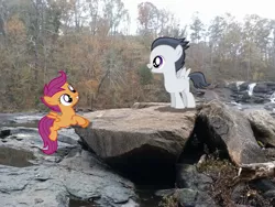 Size: 2592x1944 | Tagged: safe, artist:90sigma, artist:tokkazutara1164, artist:xeregon, derpibooru import, rumble, scootaloo, climbing, female, irl, male, photo, ponies in real life, river, rock, rumbloo, shipping, straight, vector