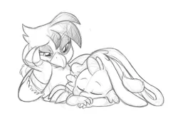 Size: 1212x810 | Tagged: safe, artist:mickeymonster, derpibooru import, gilda, spike, gryphon, crack shipping, monochrome, shipping, sketch, sleeping, spikelove, spilda