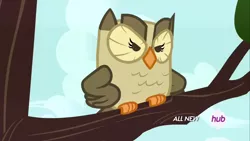 Size: 1920x1080 | Tagged: angry, bird, derpibooru import, hub logo, inspiration manifestation, owl, owlowiscious, safe, screencap, sitting in a tree, solo, tree branch