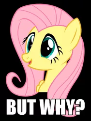 Size: 750x1000 | Tagged: safe, derpibooru import, fluttershy, pegasus, pony, black background, but why, caption, exploitable meme, female, image macro, mare, meme, painfully innocent fluttershy, question mark, reaction image, simple background, solo, text