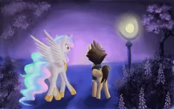 Size: 800x500 | Tagged: artist:xilenobody143, crossover, derpibooru import, kingdom hearts, kingdom hearts of harmony, night, ponified, princess celestia, safe, sora