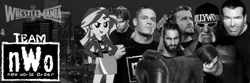 Size: 600x200 | Tagged: ada wong, barely pony related, cm punk, dean ambrose, derpibooru import, hulk hogan, human, irl, irl human, john cena, meme, nwo, obligatory pony, photo, resident evil, safe, scott hall, seth rollins, sunset shimmer, wrestlemania, wwe