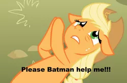 Size: 944x623 | Tagged: applejack, applepray, batman, begging, derpibooru import, image macro, meme, prayer, praying, safe, solo