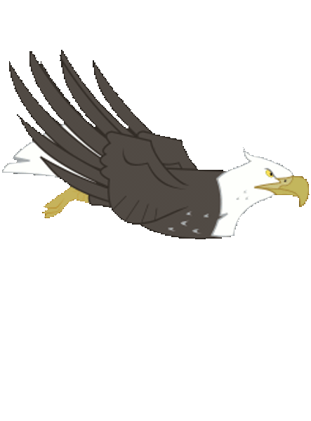 453907 - animated, bald eagle, eagle, flying, safe, simple background,  solo, that friggen eagle, transparent background - Twibooru