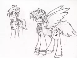 Size: 1280x965 | Tagged: safe, artist:zubias, derpibooru import, oc, unofficial characters only, pegasus, pony, fallout equestria, enclave, grand pegasus enclave, monochrome, sketch, solo, traditional art