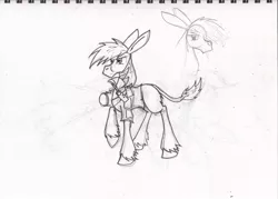 Size: 1280x918 | Tagged: artist:zubias, derpibooru import, donkey, fallout equestria, monochrome, oc, safe, sketch, solo, traditional art, unofficial characters only