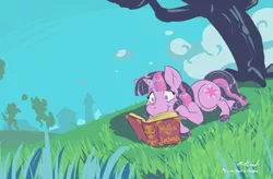 Size: 1024x671 | Tagged: safe, artist:machu, derpibooru import, twilight sparkle, book, grass, outdoors, reading, silhouette, solo