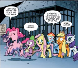 Size: 949x829 | Tagged: safe, derpibooru import, idw, applejack, big macintosh, fluttershy, pinkie pie, rainbow dash, rarity, spike, twilight sparkle, twilight sparkle (alicorn), alicorn, pony, spoiler:comic, spoiler:comic18, baron big mac, female, mane seven, mane six, mare, panel