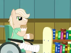 Size: 640x480 | Tagged: safe, artist:aha-mccoy, derpibooru import, oc, oc:jay aaron mclovin, unofficial characters only, earth pony, pony, bookshelf, cast, chin scratch, hospital gown, male, solo, stallion, wheelchair