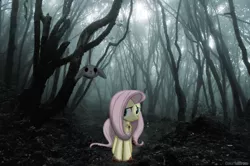 Size: 800x531 | Tagged: semi-grimdark, artist:colorfulbrony, derpibooru import, angel bunny, fluttershy, blood, decapitated, implied murder, irl, photo, ponies in real life, severed head