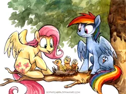 Size: 695x521 | Tagged: safe, artist:kenket, artist:spainfischer, derpibooru import, fluttershy, rainbow dash, bird, pegasus, pony, animal, duo, female, mare, nest, sitting, sitting in a tree, traditional art, tree, tree branch, watercolor painting