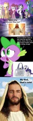 Size: 632x2290 | Tagged: alicorn flash, archaic english, bible, derpibooru import, exploitable meme, hub logo, jesus christ, meme, purse, rarity, safe, spike, vulgar