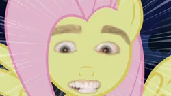 Size: 1280x720 | Tagged: safe, derpibooru import, fluttershy, eyes, horror, nicolas cage, nightmare fuel, not salmon, solo, stare, the stare, wat
