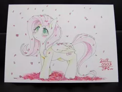 Size: 600x450 | Tagged: 2014, artist:zakro, convention, crying, derpibooru import, flower, fluttershy, japan ponycon, request, safe, solo, traditional art