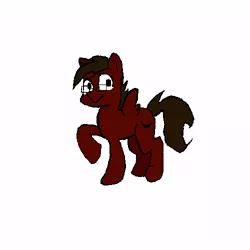 Size: 500x500 | Tagged: safe, artist:eggrole7, derpibooru import, oc, oc:maroon, unofficial characters only, pegasus, pony, glasses, male, maroon, simple background, solo, spread wings