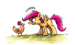 Size: 689x415 | Tagged: angry, artist:kenket, artist:spainfischer, chicken, eye contact, looking at each other, safe, scootachicken, scootaloo, scootaloo is not amused, solo, stare, traditional art