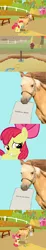 Size: 678x3700 | Tagged: apple bloom, applejack, comic, derpibooru import, frown, glare, grin, grumpy, hoers, hoershoes, horseshoes, irl horse, live action applejack, mouth hold, paper, safe, sitting, smiling, throwing, unamused, wat