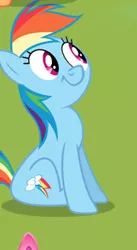 Size: 174x318 | Tagged: safe, derpibooru import, rainbow dash, earth pony, pony, animation error, faic, female, grass, hubworld.com, mare, rainbow dash is best facemaker, sitting, solo, wat, wingless