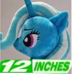 Size: 681x705 | Tagged: 12 inches, artist:onlyfactory, bootleg, derpibooru import, dissonant caption, expand dong, exploitable meme, irl, meme, photo, plushie, safe, text, trixie