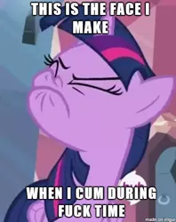 Size: 366x461 | Tagged: suggestive, derpibooru import, edit, edited screencap, screencap, twilight sparkle, twilight sparkle (alicorn), alicorn, pony, twilight's kingdom, caption, faic, female, hub logo, i came, image macro, mare, meme, orgasm, scrunchy face, solo, solo female, the hub, vulgar