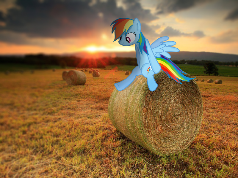 Size: 1600x1200 | Tagged: artist:chaoticlightfixtures, artist:quanno3, derpibooru import, hay bale, irl, lens flare, photo, ponies in real life, rainbow dash, safe, shadow, sitting, solo, sunset, vector