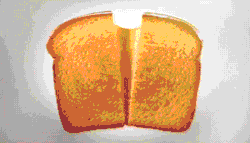 Size: 500x285 | Tagged: animated, barely pony related, cheese sandwich, derpibooru import, grilled cheese, live action, pun, safe, visual pun