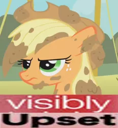 Size: 341x368 | Tagged: applejack, cropped, derpibooru import, edit, edited screencap, expand dong, exploitable meme, fall weather friends, frown, meme, messy mane, mud, muddy, safe, screencap, solo, text