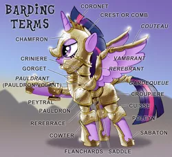 Size: 790x716 | Tagged: safe, artist:iisaw, derpibooru import, twilight sparkle, twilight sparkle (alicorn), pony, armor, barding, female, glossary, gorget, helmet, mare, pauldron, peytral, raised hoof, sabaton (armor), saddle, solo, tack, text