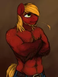 Size: 1500x2000 | Tagged: abs, anthro, artist:gordonfreeguy, bare chest, beard, belt, biceps, big macintosh, clothes, crossed arms, derpibooru import, fluffy, freckles, handsome, muscles, pants, safe, solo, stupid sexy big macintosh, topless