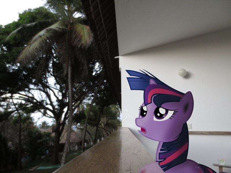 Size: 4608x3456 | Tagged: safe, artist:derpwave, artist:epic-panda17, artist:ojhat, artist:vladimirmacholzraum, derpibooru import, derpy hooves, dinky hooves, twilight sparkle, pegasus, pony, balcony, female, irl, mare, photo, ponies in real life, solo, tree, vector, windswept mane