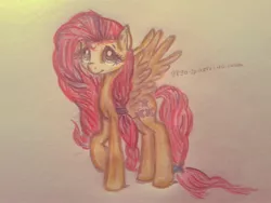 Size: 2528x1896 | Tagged: safe, artist:gpgo-sparkling-panda, derpibooru import, fluttershy, pegasus, pony, photo, solo, traditional art