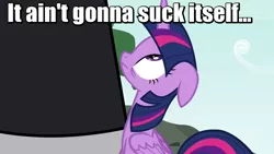 Size: 640x360 | Tagged: suggestive, derpibooru import, edit, edited screencap, screencap, lord tirek, twilight sparkle, twilight sparkle (alicorn), alicorn, pony, twilight's kingdom, caption, female, forced, image macro, implied blowjob, implied oral, implied sex, it ain't gonna suck itself, mare, meme, size difference, solo focus, twirek