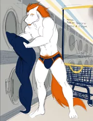 Size: 788x1024 | Tagged: american football, anthro, artist:bgn, briefs, broncos, clothes, crotch bulge, derpibooru import, football, laundromat, laundry, male, pubic hair, solo, solo male, sports, suggestive, underwear, washing machine