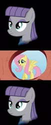 Size: 900x2200 | Tagged: safe, derpibooru import, fluttershy, maud pie, inside joke, joke, pun, stealth pun