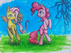 Size: 1280x960 | Tagged: artist:tungstenbulb, derpibooru import, fluttershy, pinkie pie, safe, traditional art