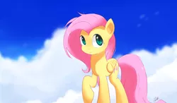 Size: 4404x2564 | Tagged: artist:repoisn, cloud, cloudy, cute, derpibooru import, fluttershy, looking up, safe, shyabetes, sky, smiling, solo