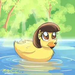 Size: 1280x1280 | Tagged: artist:willisninety-six, blushing, cute, derpibooru import, duck, fluffy, safe, sibsy, sibsy is a duck, smiling, solo, species swap, water, wild fire