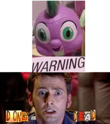 Size: 636x720 | Tagged: david tennant, derp, derpibooru import, doctor who, edit, expand dong, exploitable meme, faic, meme, rapeface, safe, spike, tenth doctor, warning, wat, why