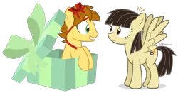 Size: 1050x550 | Tagged: safe, artist:dm29, derpibooru import, wild fire, oc, oc:mandopony, birthday, bow, eye contact, female, frown, grin, male, mandofire, present, ribbon, shipping, sibsy, simple background, smiling, spread wings, straight, surprised, transparent background, wide eyes, wingboner